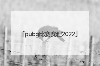 「pubg比赛赛程2022」PUBG赛程2022